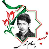 شهید بهنام محمدی