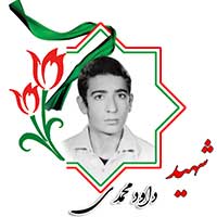 شهید داود محمدی