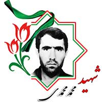 شهید محمد محمدی