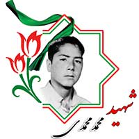 شهید محمد محمدی