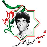 شهید محمد ولی محمدی