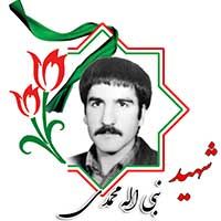 شهید نبی‌الله محمدی