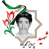 شهید پرویز محمدیها