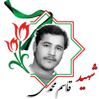 شهید قاسم محمدی