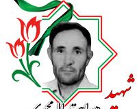 شهید هدایت الله محمدی