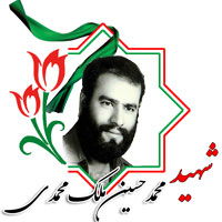 شهید محمدحسین ملک محمدی