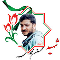 شهید محسن محمدی