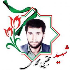 شهید مجتبی محمدی