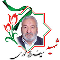 شهید سیف الله محمدی