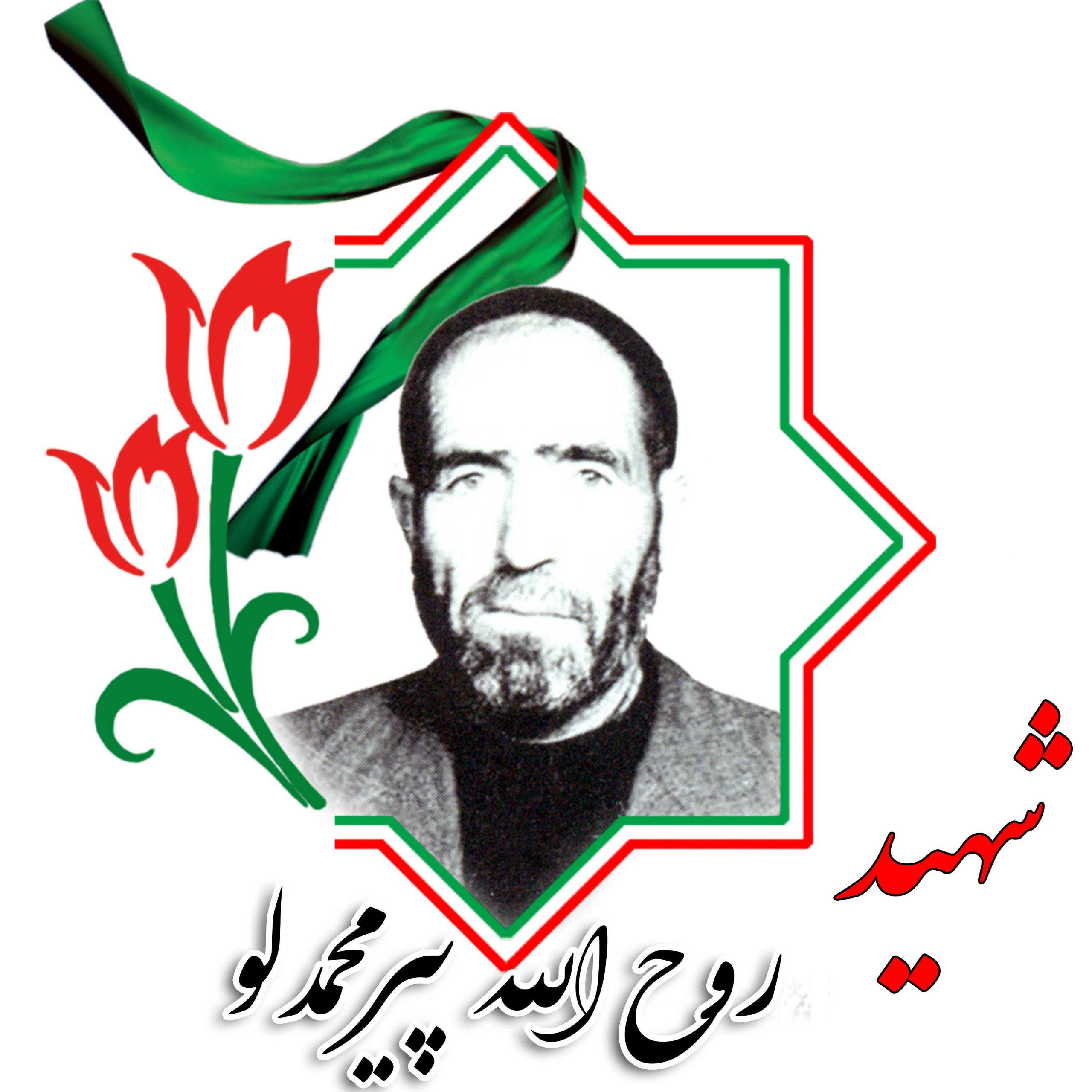شهید روح الله پیرمحمدلو