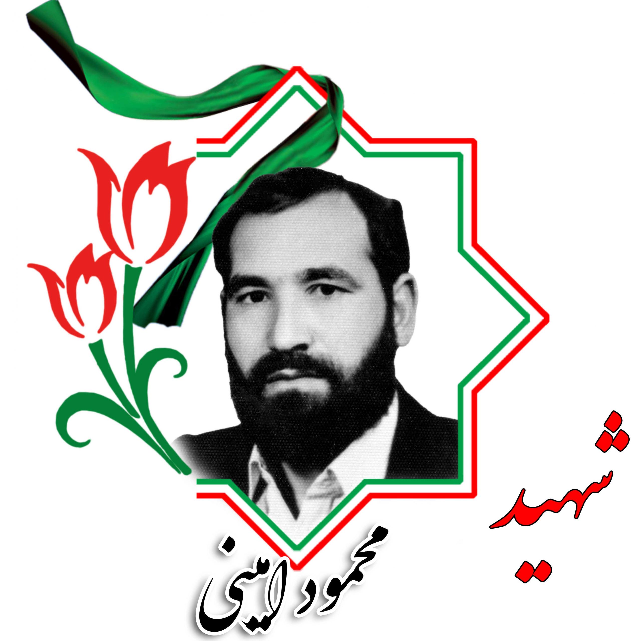 شهید محمود امینی