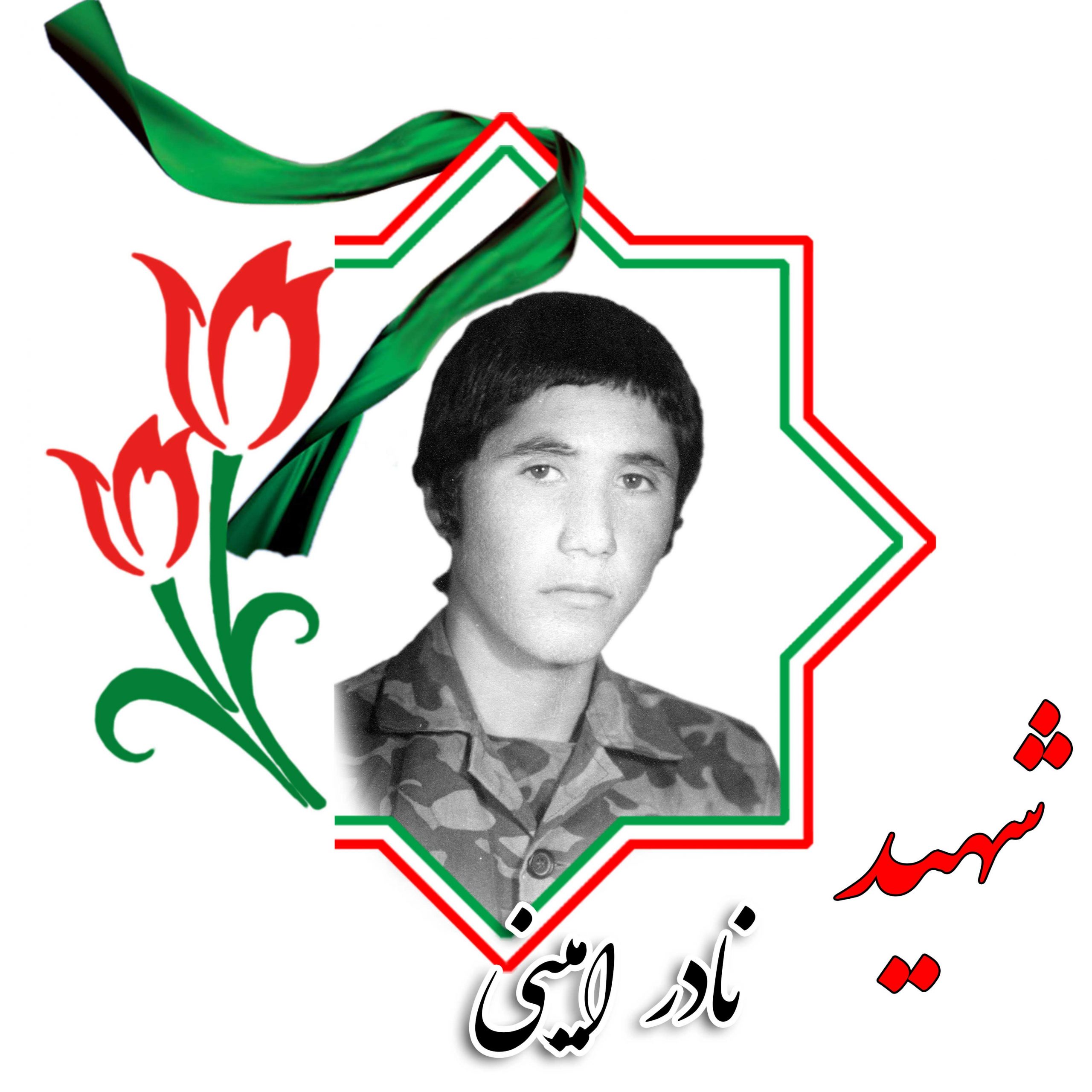 شهید نادر امینی