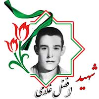 شهید افضل غلامی