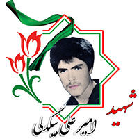 شهید امیرعلی بیگدلی