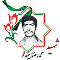 شهید محمدرضا بیگدلو
