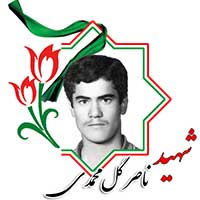 شهید ناصر گل محمدی