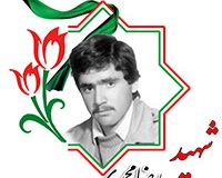 شهید رضا محمدی