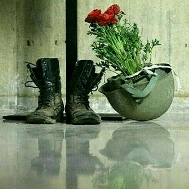 مثل کبوتری سفید که سعی دارد در آسمان آبی حریت پرواز کند