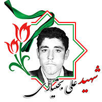 شهید علی بختیاری