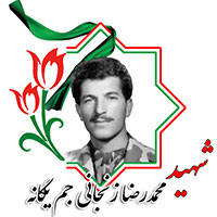 شهید محمدرضا زنجانی یگانه جم