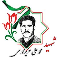 شهید محمدعلی عزیزمحمدی