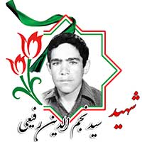 شهید سید نجم‌الدین رفیعی
