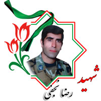 شهید رضا نجفی